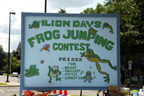 Frog Jumping Contest